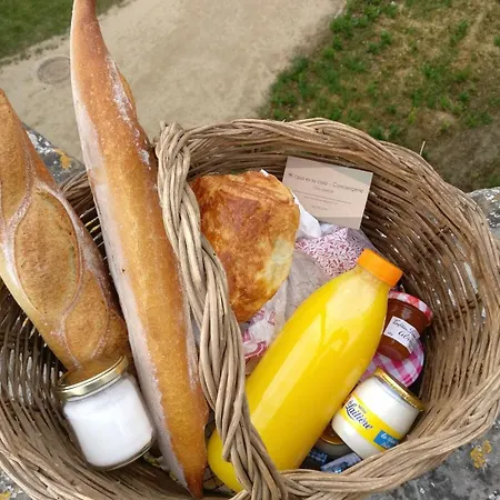 Chaleureux Au Pied De La Cité Avec Parking * Carcassonne