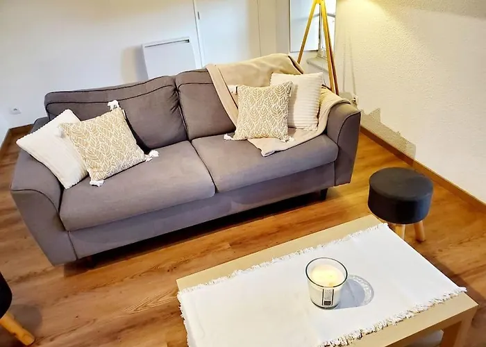 Apartment Chaleureux Au Pied De La Cite Avec Parking *